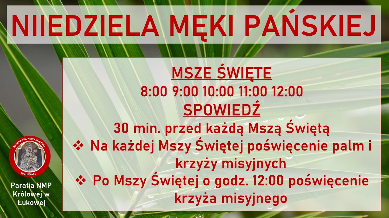 Niedziela Palmowa – Harmonogram Mszy